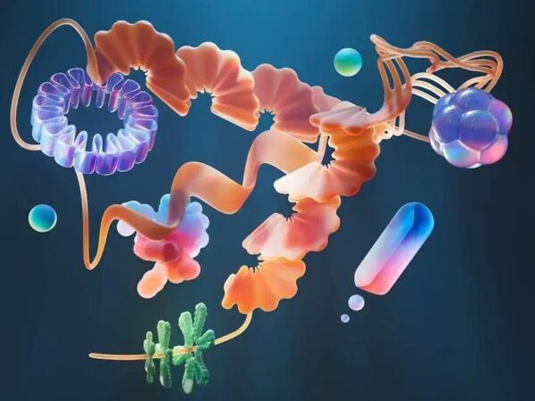 Freelance Designer Health Insurance: Discover Your Options Now