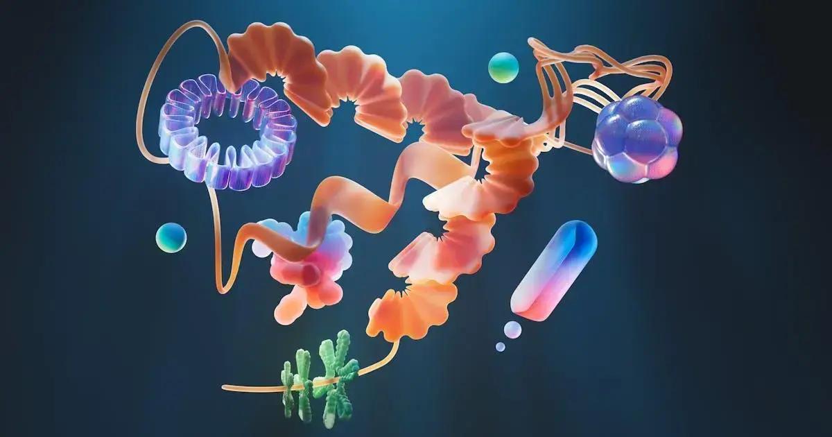 Freelance Designer Health Insurance: Discover Your Options Now