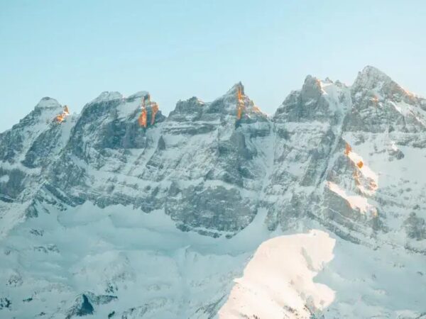 HMO vs PPO Freelancer: Which Healthcare Plan Fits You?