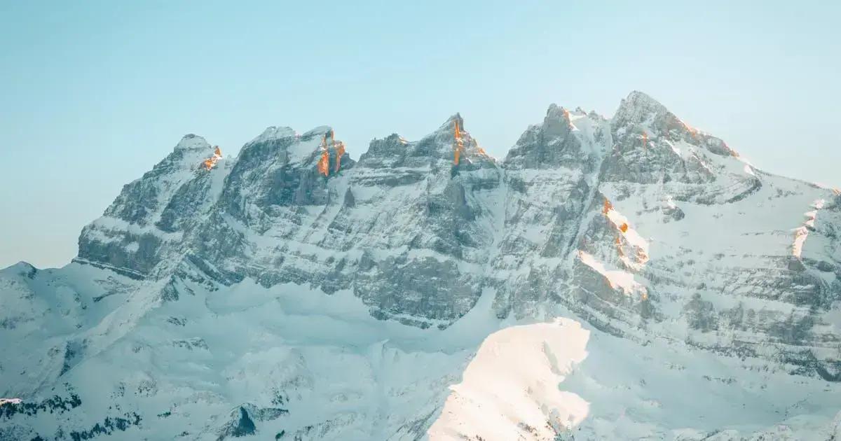 HMO vs PPO Freelancer: Which Healthcare Plan Fits You?