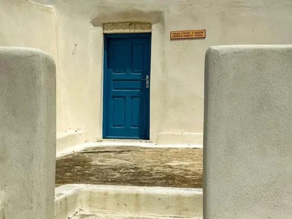 Oscar Health vs BCBS Freelancers: Which is Best for You?